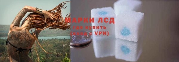PSILOCYBIN Вязьма