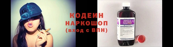 соль ск Вяземский