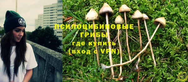 соль ск Вяземский