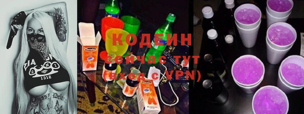соль ск Вяземский