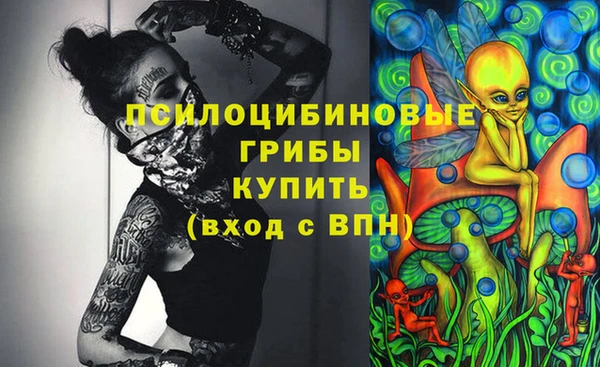 соль ск Вяземский