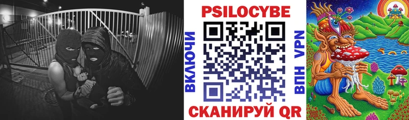 Галлюциногенные грибы GOLDEN TEACHER  shop наркотические препараты  Павловск 